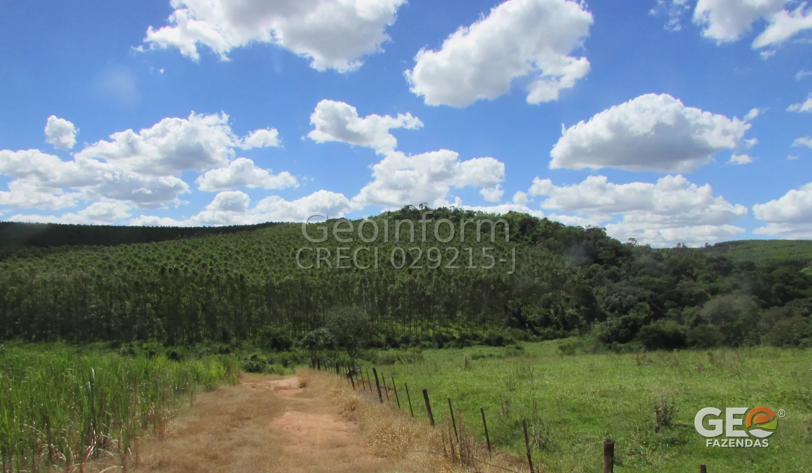 Área rural com vegetação e caminho de terra