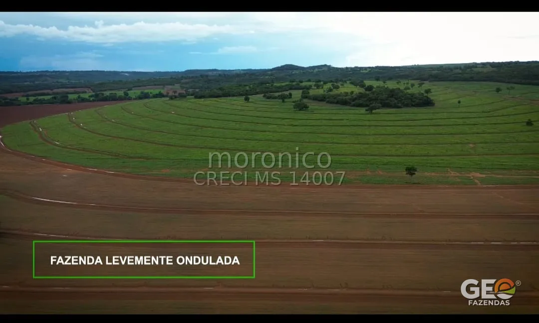 Fazenda com terreno levemente ondulado e pastagem