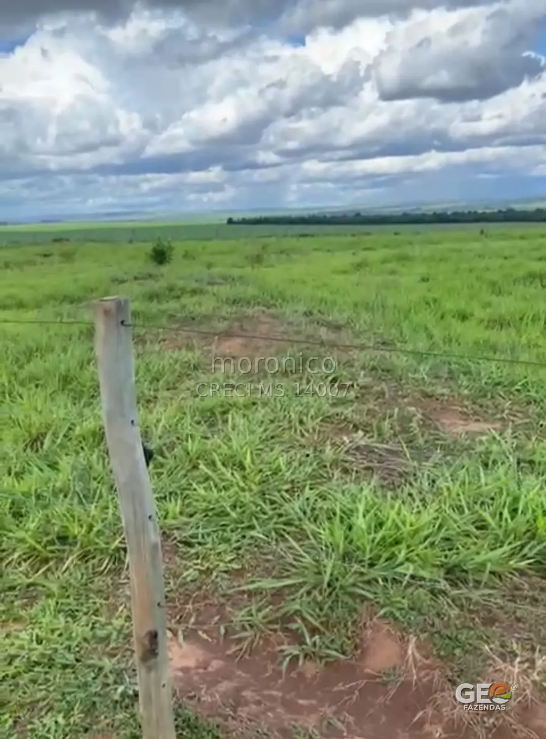Terreno rural com cerca e pastagem verde