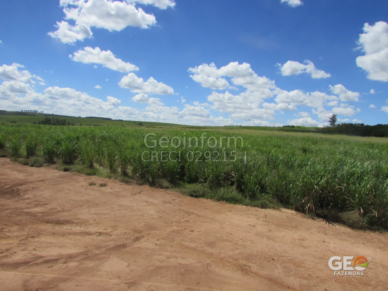 Área rural com plantação e estrada de terra