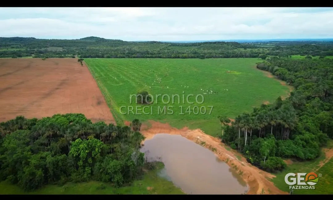 Área rural com pastagem, mata e açude