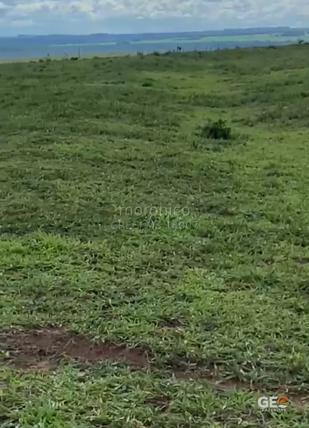 Terreno rural com vegetação verde e horizonte aberto