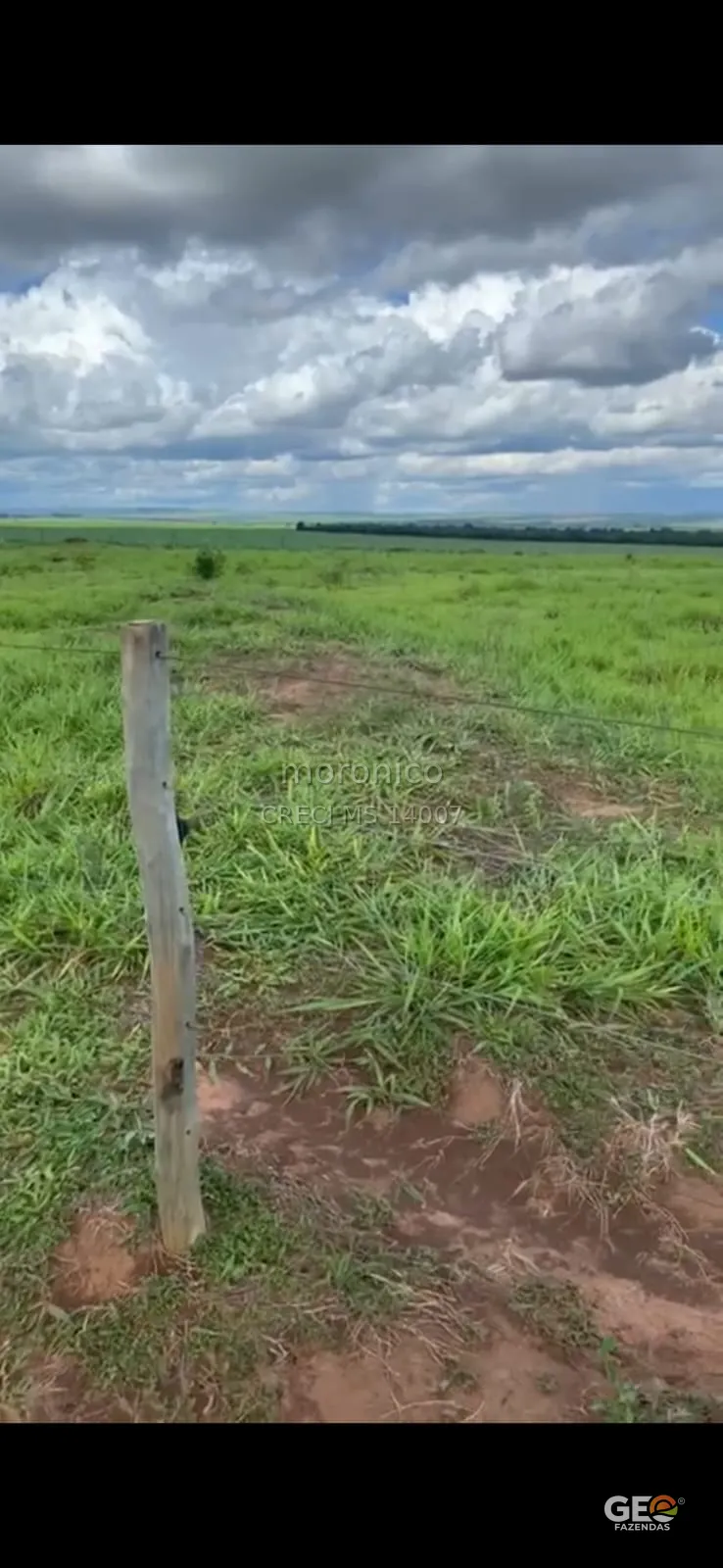 Terreno rural com cerca e pastagem verde