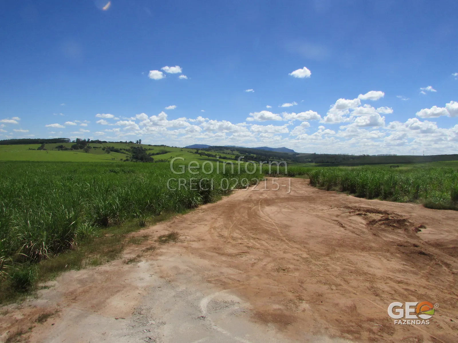 Área rural com pastagem e estrada de terra
