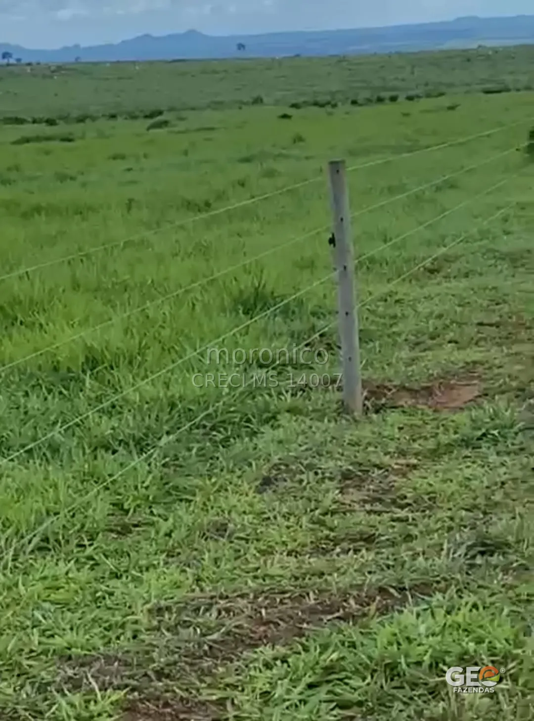 Área rural com cerca e pastagem verde