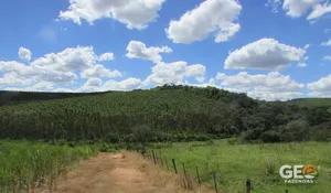 Fazenda em Rio Claro - SP