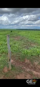 Fazenda em Pedro Gomes - MS