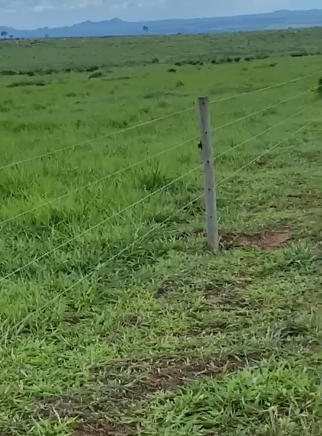 Área rural com cerca e pastagem verde