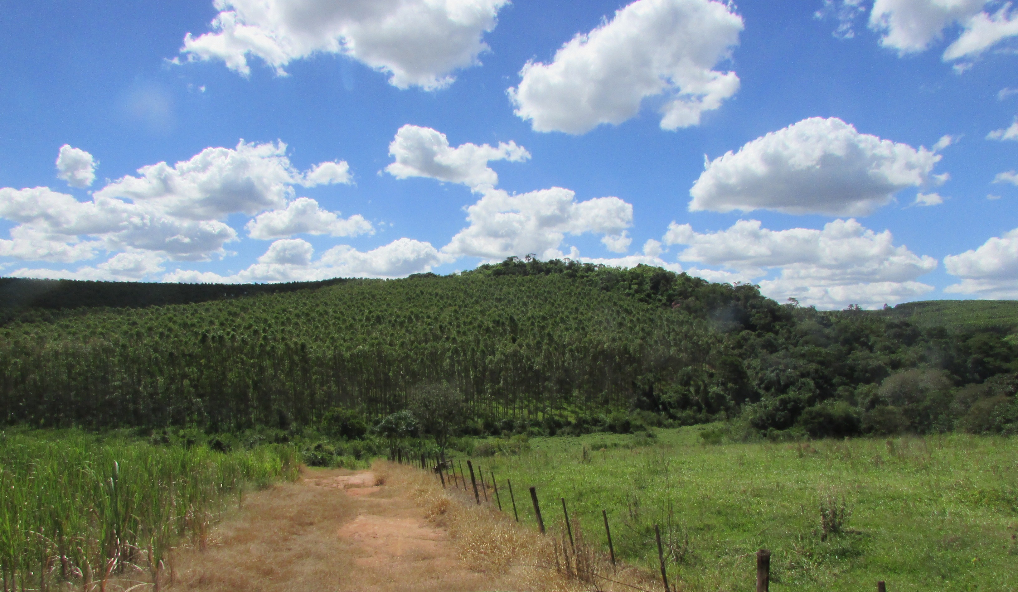 Fazenda em Rio Claro - SP