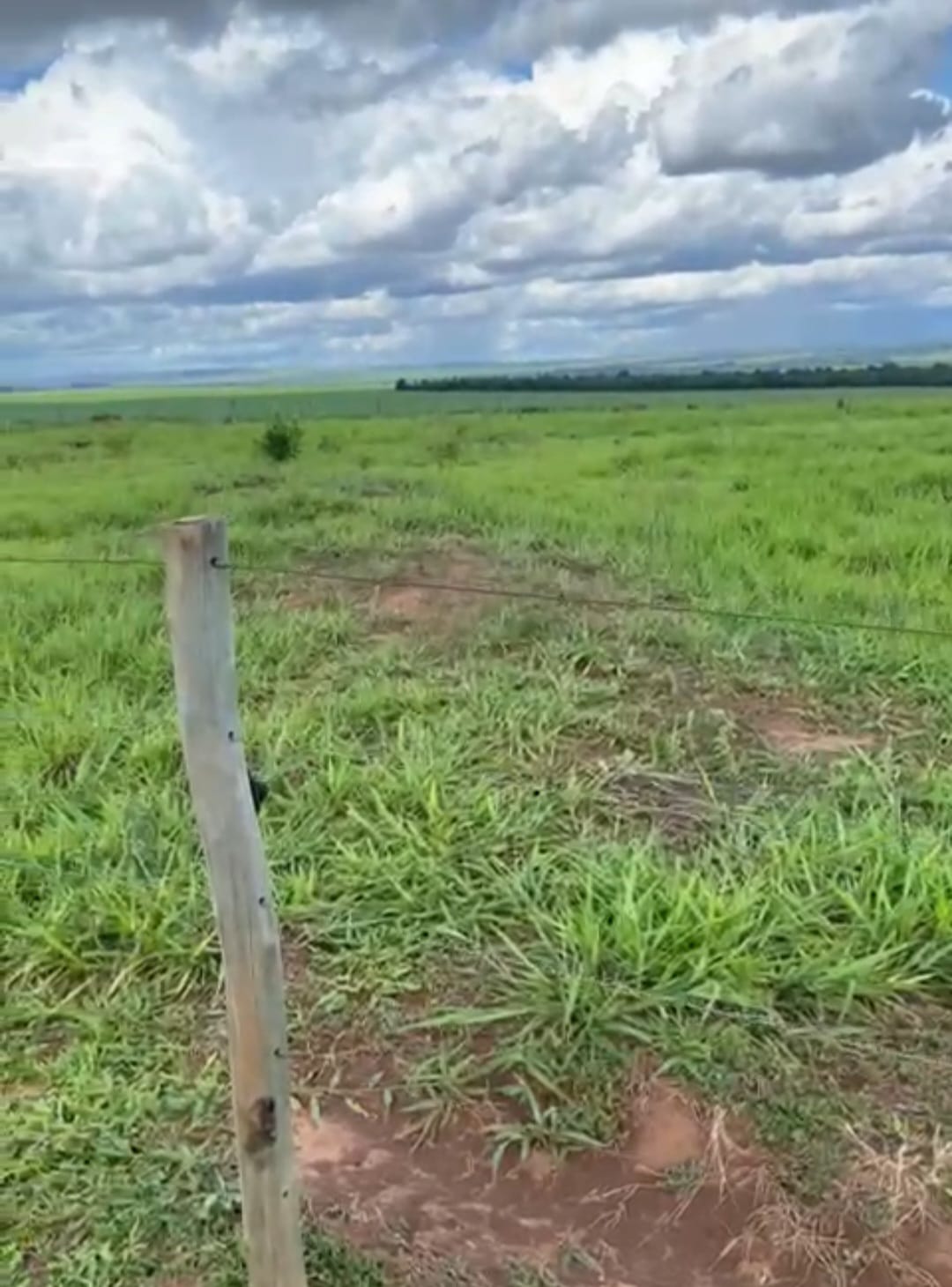 Terreno rural com cerca e pastagem verde
