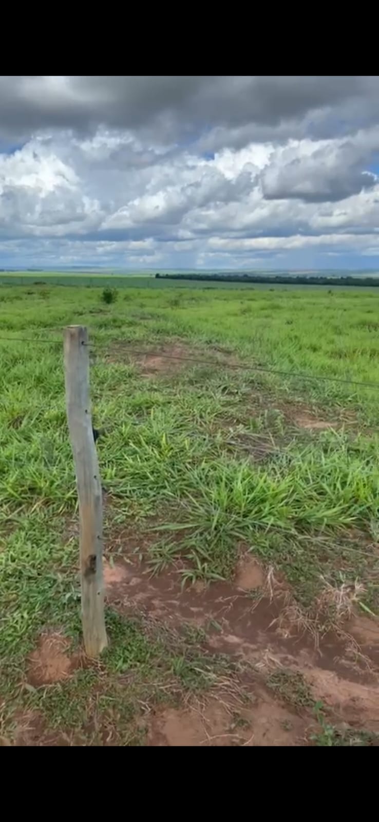 Fazenda em Pedro Gomes - MS