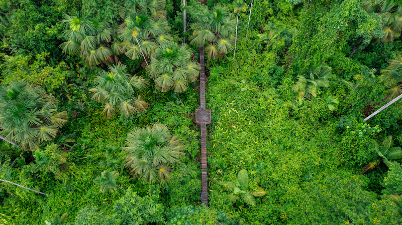 Fazenda em Adrianópolis - PR